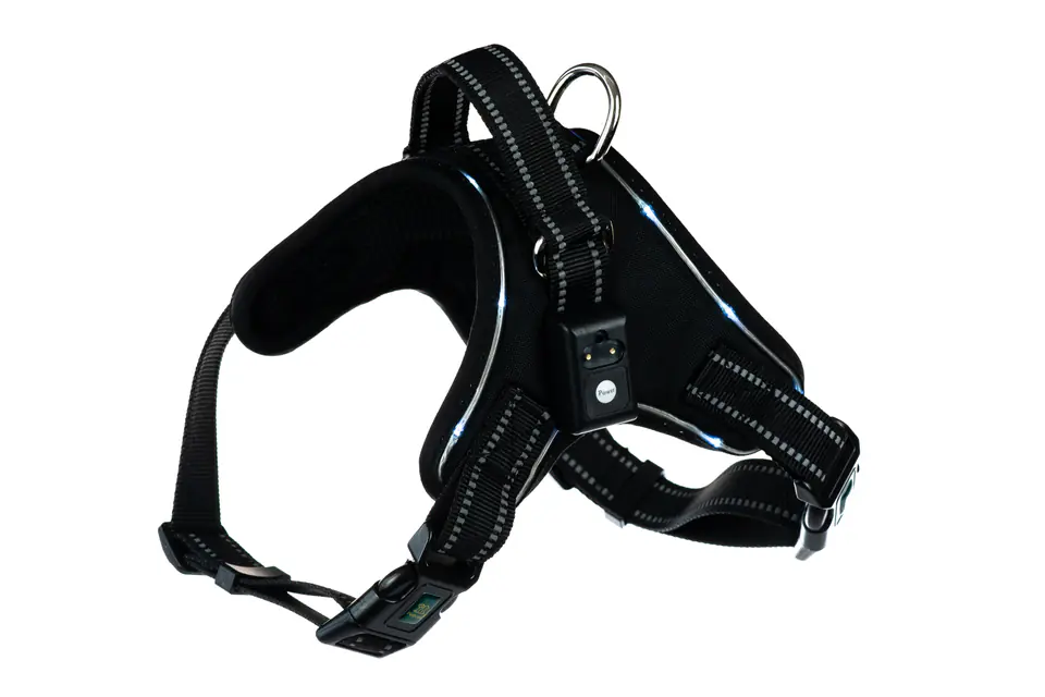 Petlove harness outlet