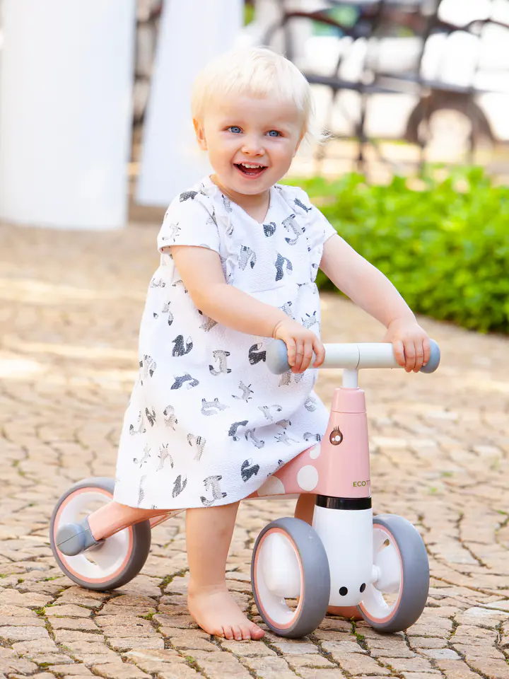 Balance bike "Flamingo" Ecotoys