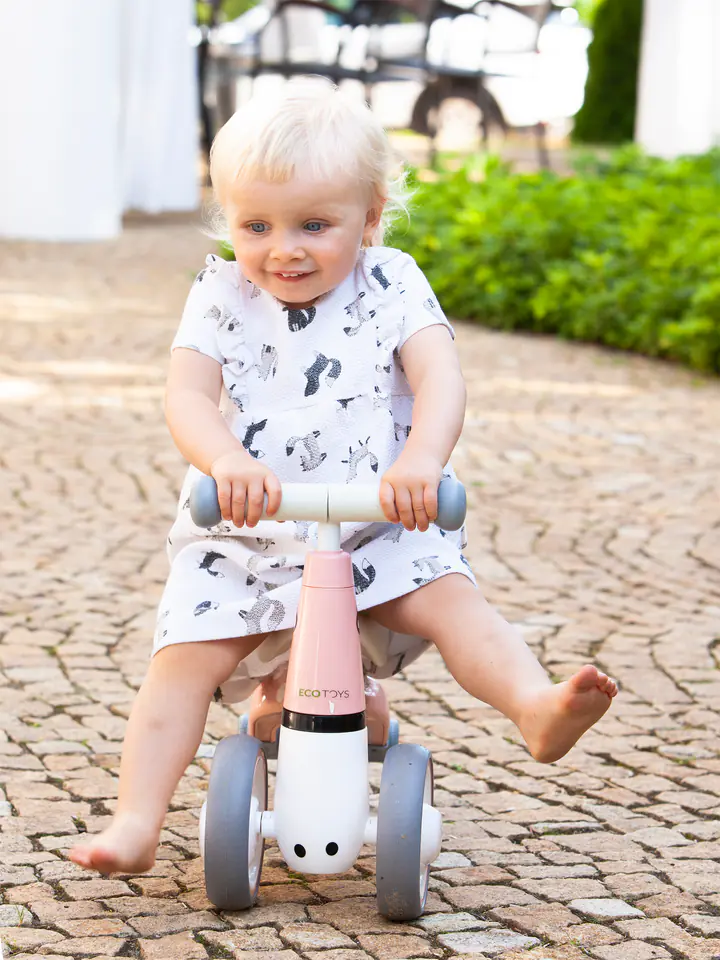 Balance bike "Flamingo" Ecotoys