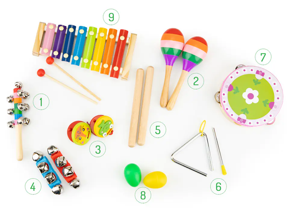 Musical set of 14 instruments + Ecotoys bag