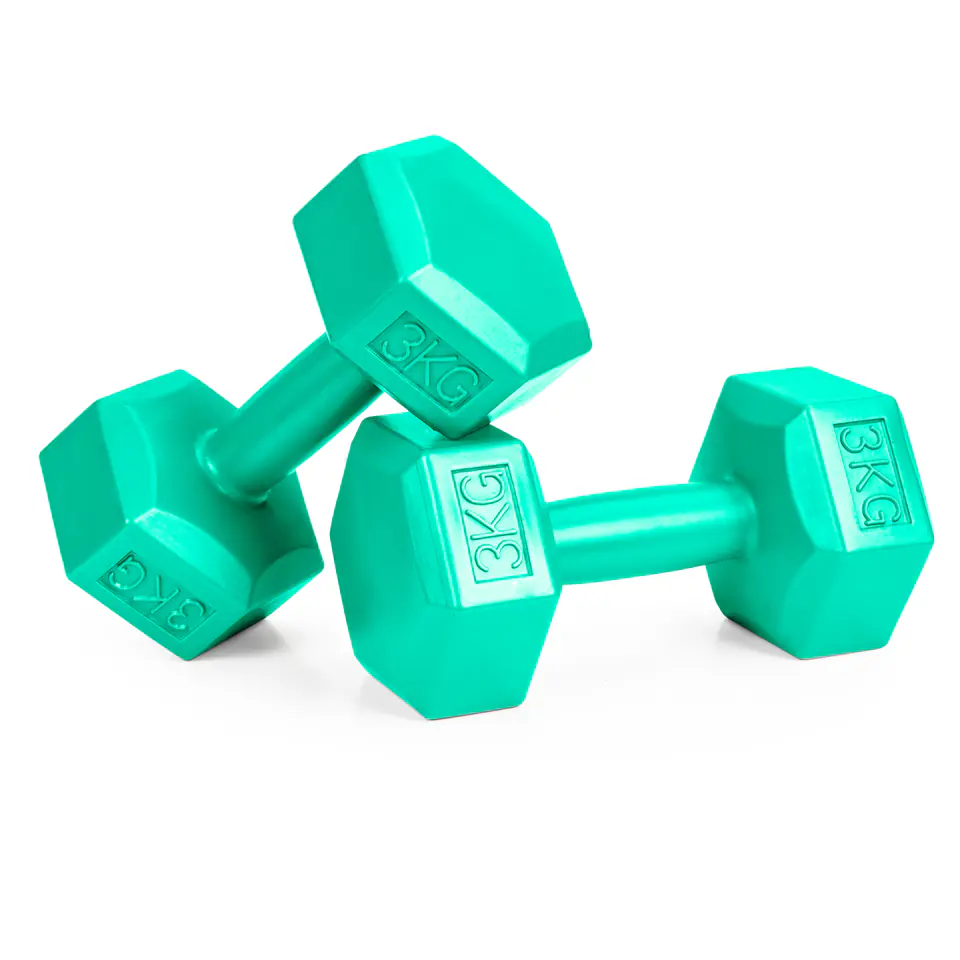 Mancuerna Dumbbell Verde Agua 3Kg X2 Sr7579 Elle ST00086