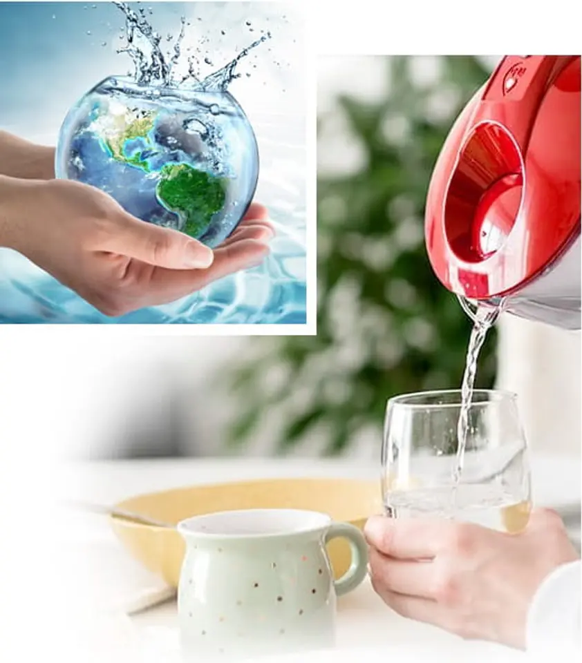 Wkład Dafi do filtrowania wody
